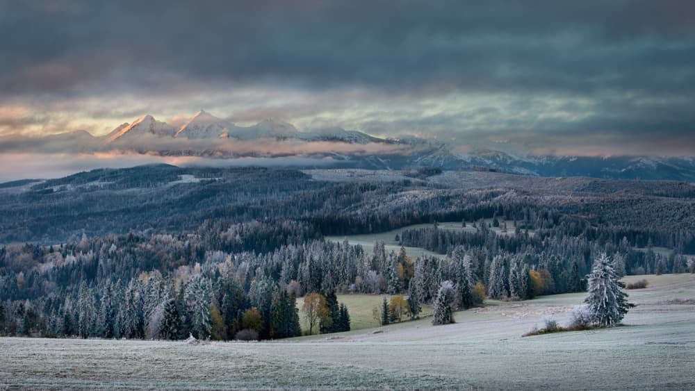 Majestic Frosted Peaks by Peter Svoboda MQEP — canvas wall art
