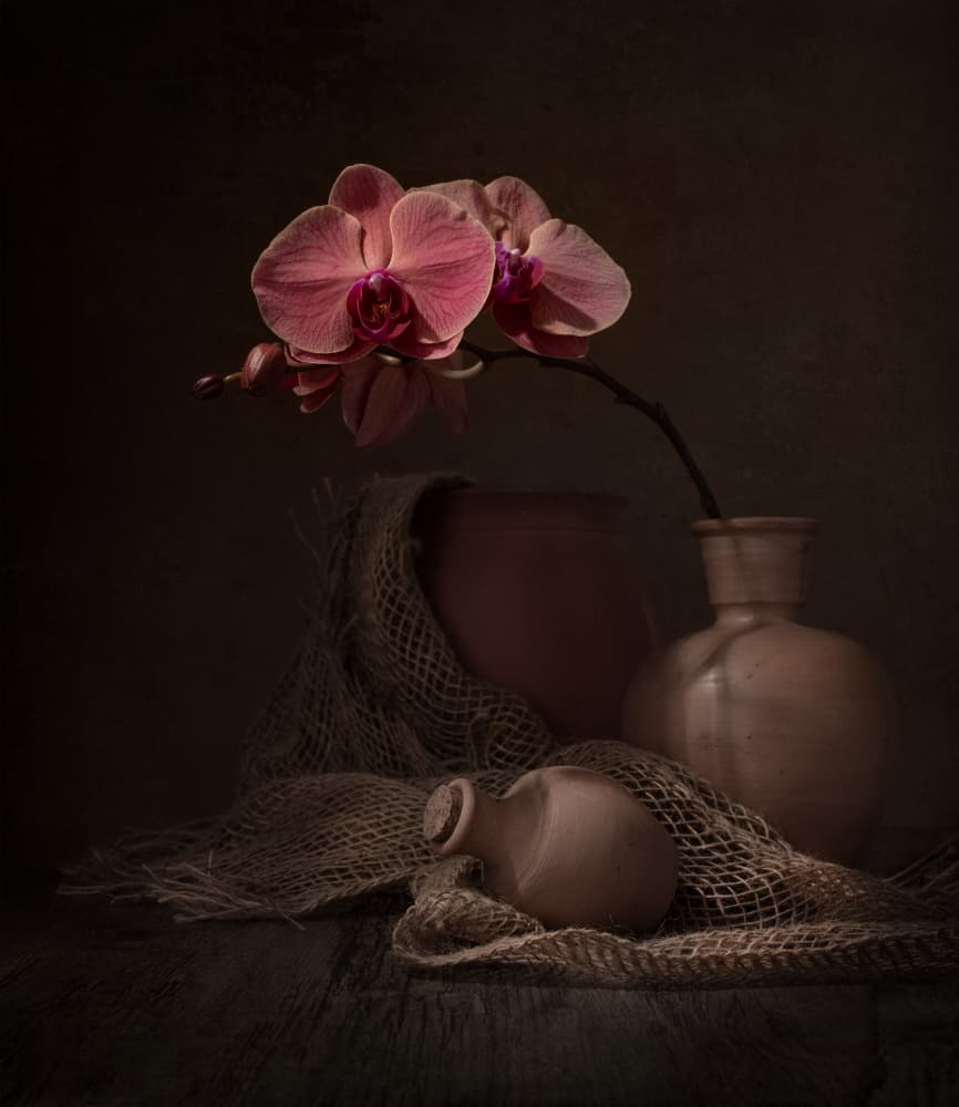 Dark Orchid Still Life by Margareth Perfoncio — canvas wall art