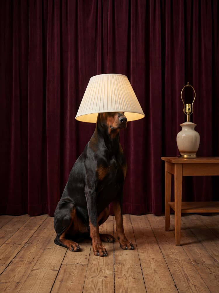 Quirky Dog Lamp by Andreas Magnusson — canvas wall art