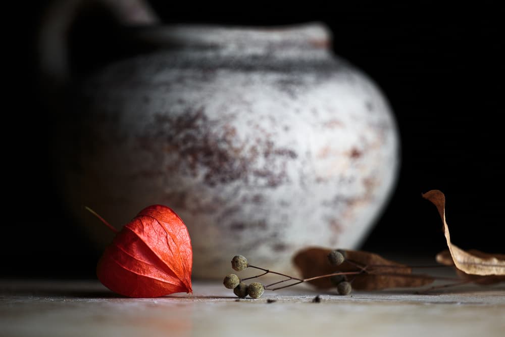 Autumn Chinese Lantern by Dusan Ljubicic — canvas wall art