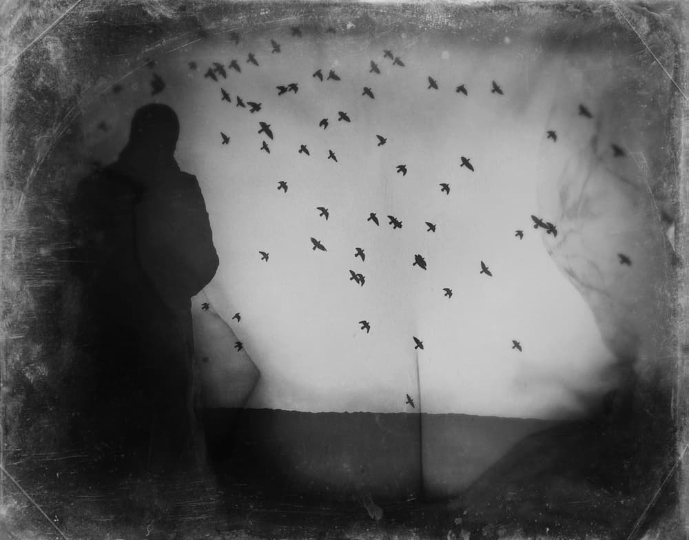 Dark Silhouette Birds by Bogdan Bouşcă — canvas wall art