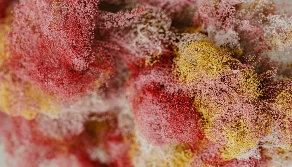 Abstract Color Swirls by Javier Pardina — canvas wall art
