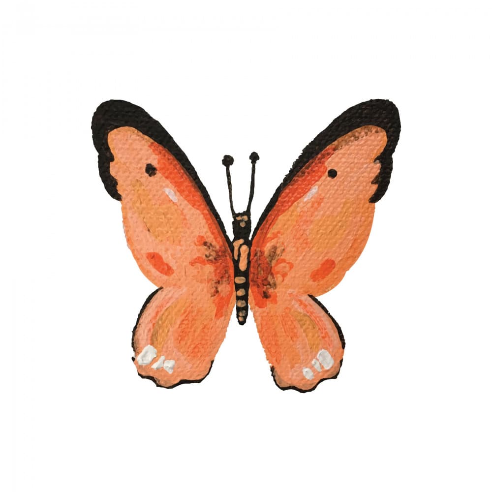 Delicate Orange Butterfly by Madison Phipps — canvas wall art