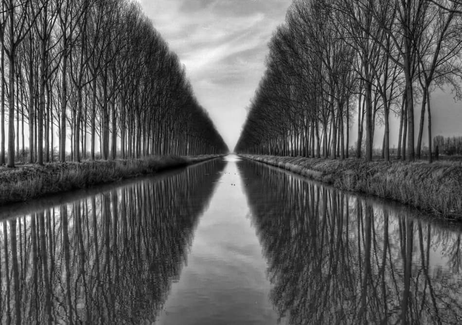 Reflective Canal Trees by Yvette Depaepe — canvas wall art