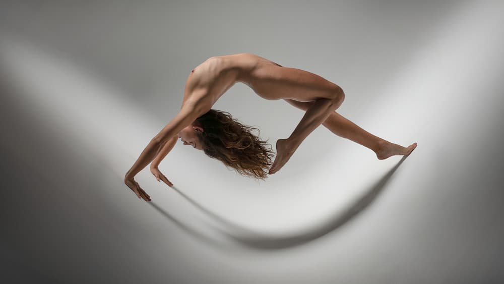 Graceful Nude Form by Joan Gil Raga — canvas wall art