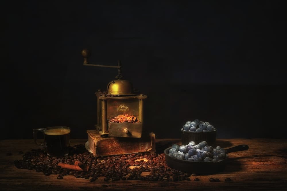 Coffee Grinder Blueberries by Saskia Dingemans — canvas wall art