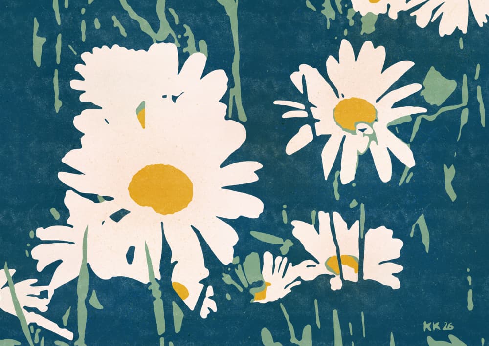 Graphic White Daisies by Katariina Kosunen — canvas wall art