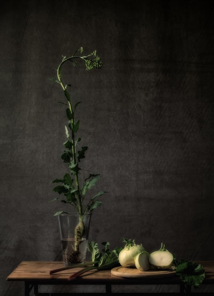Rustic Kohlrabi Still Life by Monique van Velzen — canvas wall art