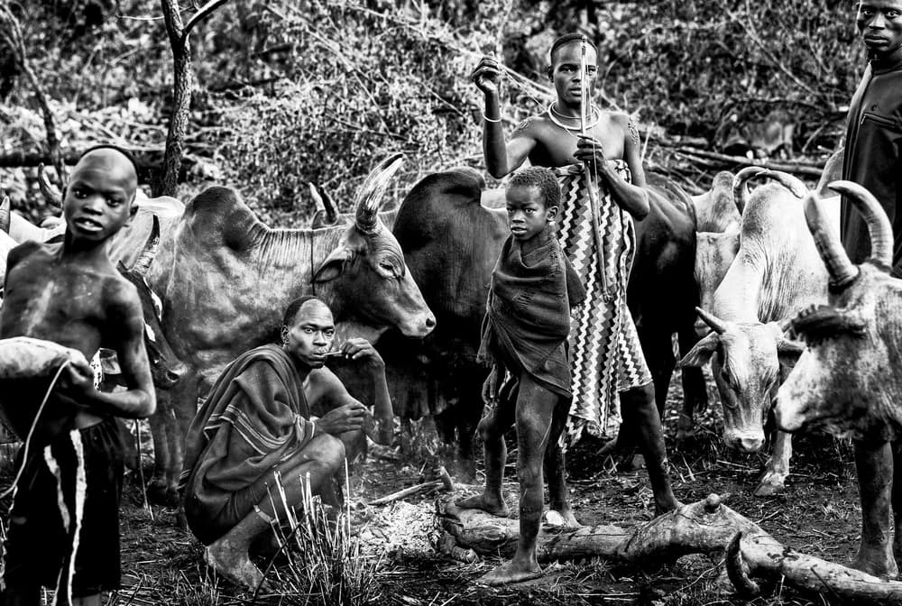 African Cattle Herders by Joxe Inazio Kuesta Garmendia — canvas wall art