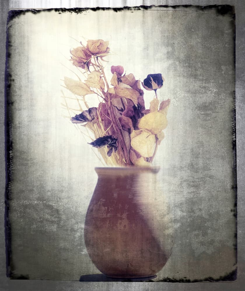 Rustic Dried Flowers by Anna Cseresnjes — canvas wall art