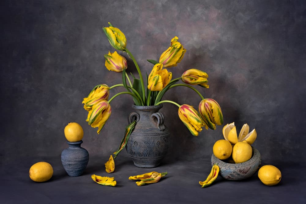 Yellow Tulips and Lemons by Lydia Jacobs — canvas wall art