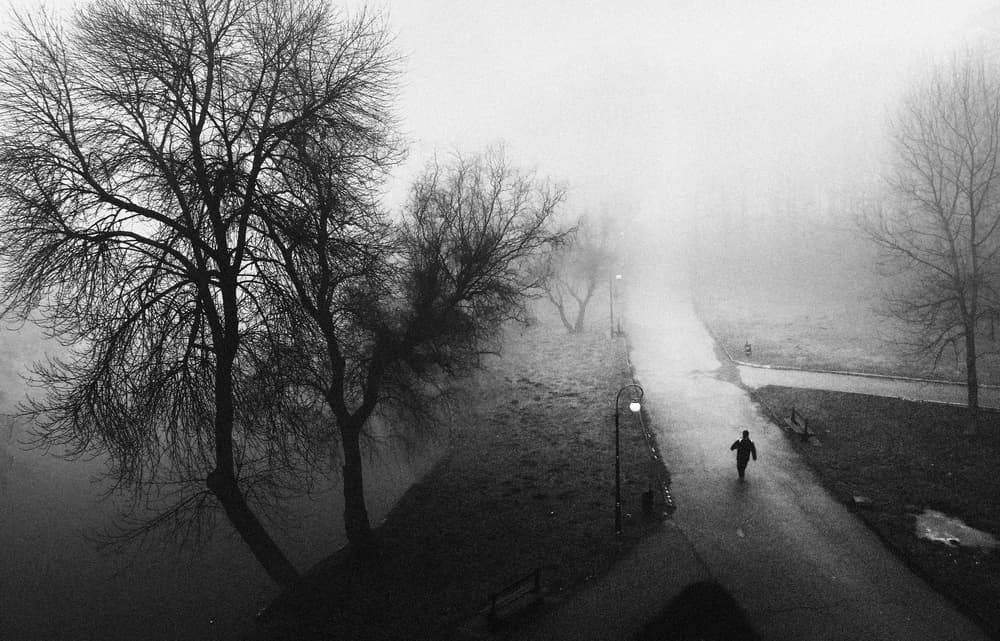 Misty Path Solitary Figure by Catalin Alexandru — canvas wall art
