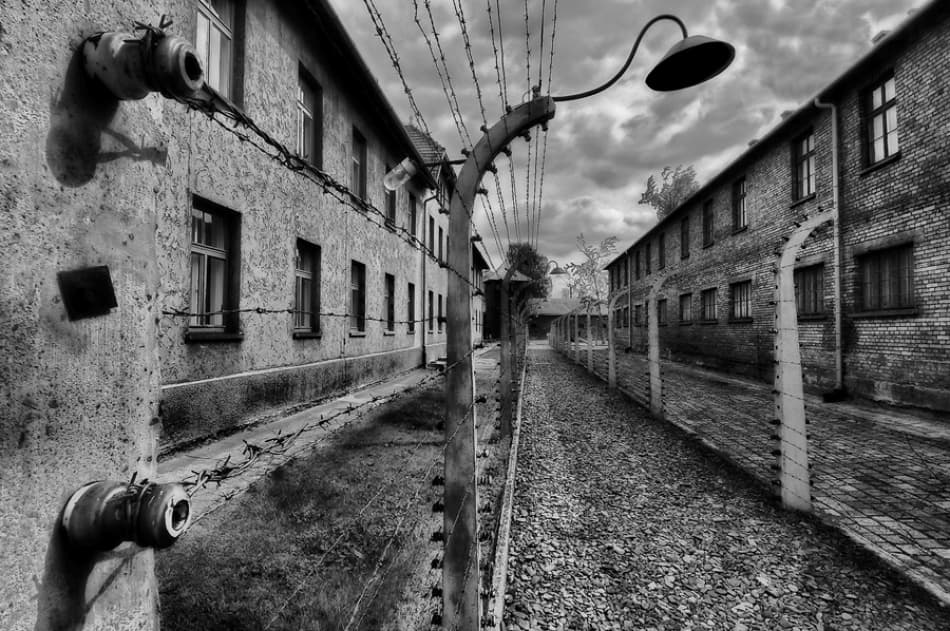 Auschwitz Barbed Wire Fence by Jure Kravanja — canvas wall art