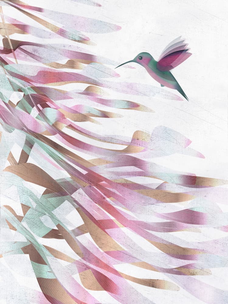 Hummingbird Ribbon Flow by Angelo Cerantola — canvas wall art