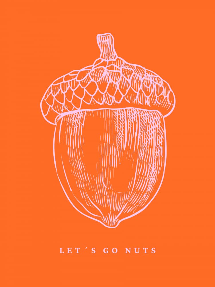 Let's Go Nuts Acorn by Ohkimiko — canvas wall art