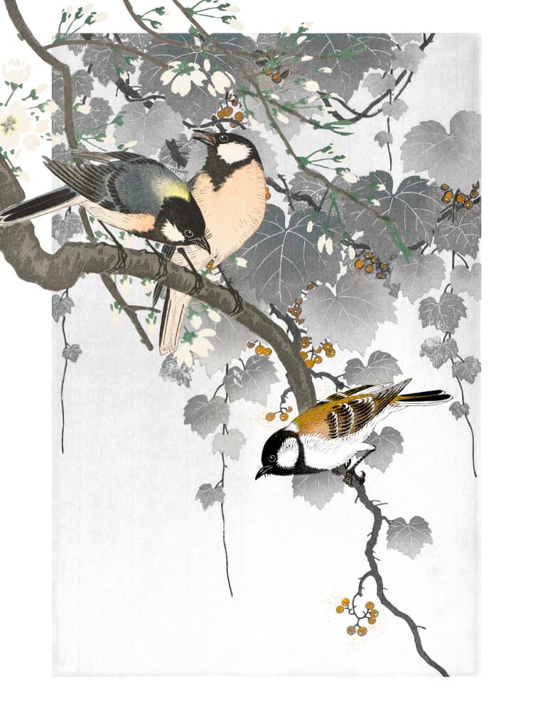 Japanese Birds on Branch by Marja van den Hurk — canvas wall art