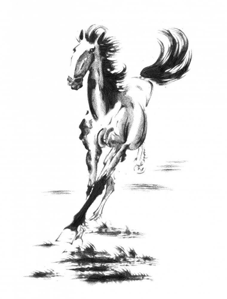 Galloping Wild Horse by Kulik — canvas wall art