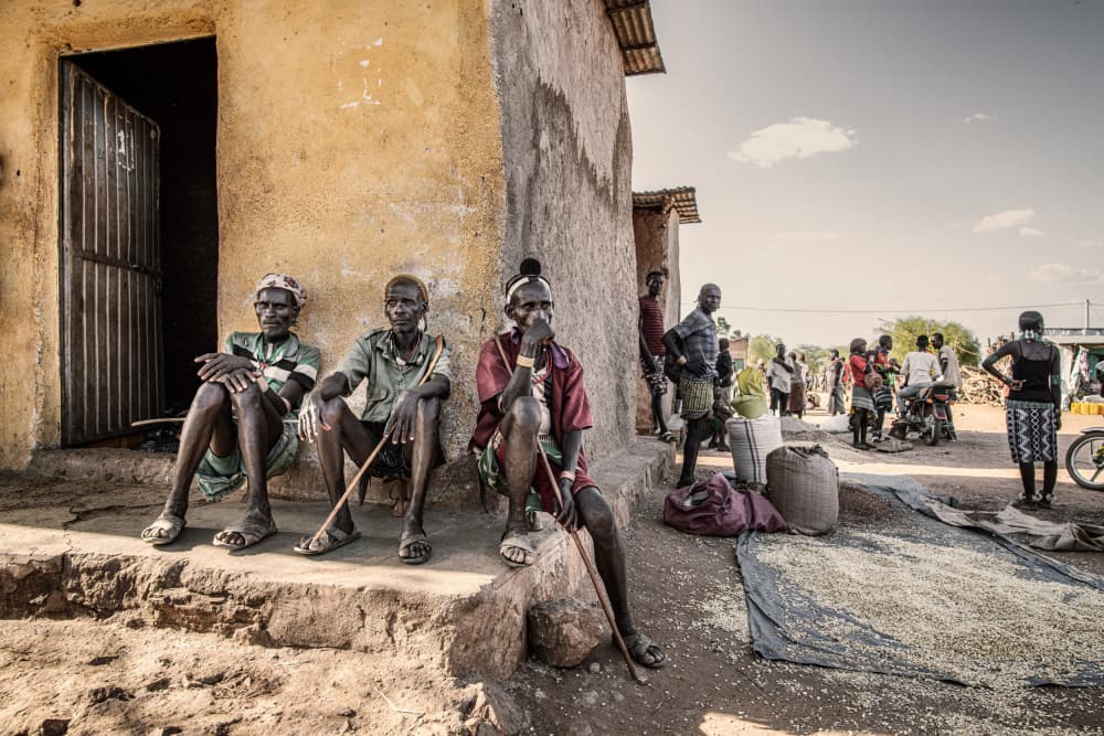 Three Village Elders by Trevor Cole — canvas wall art