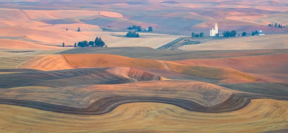 Golden Rolling Fields by John J. Chen — canvas wall art