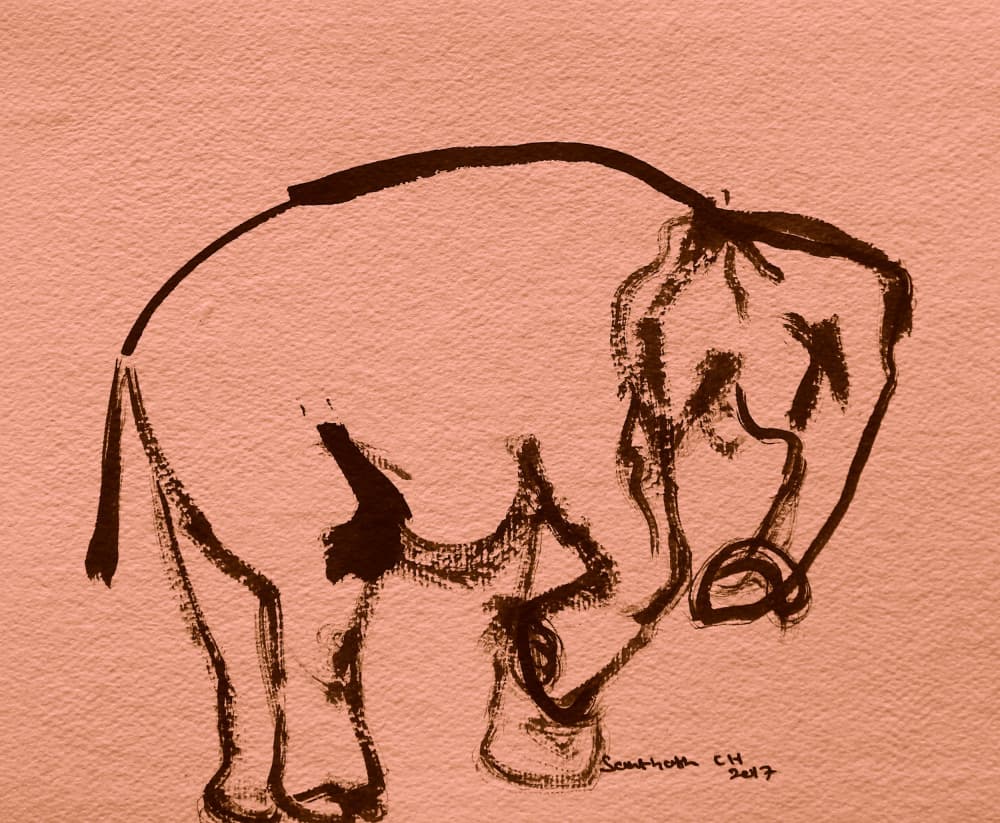 Elephant Ink Sketch by Santhosh ch — canvas wall art