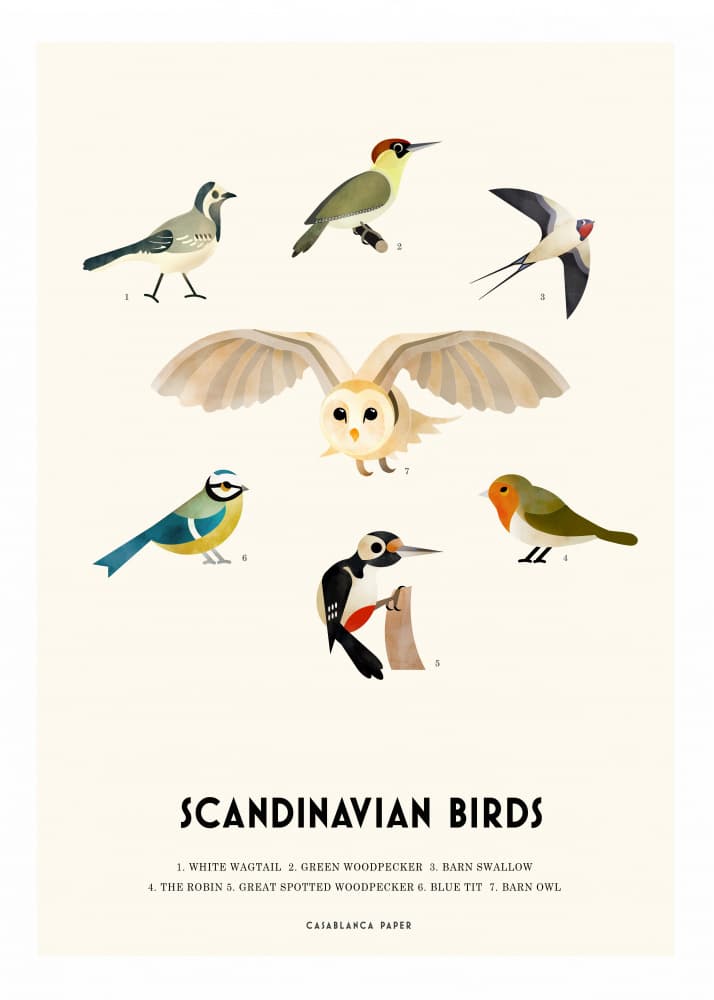 Scandinavian Birds Illustration by Erik Wintzell — canvas wall art