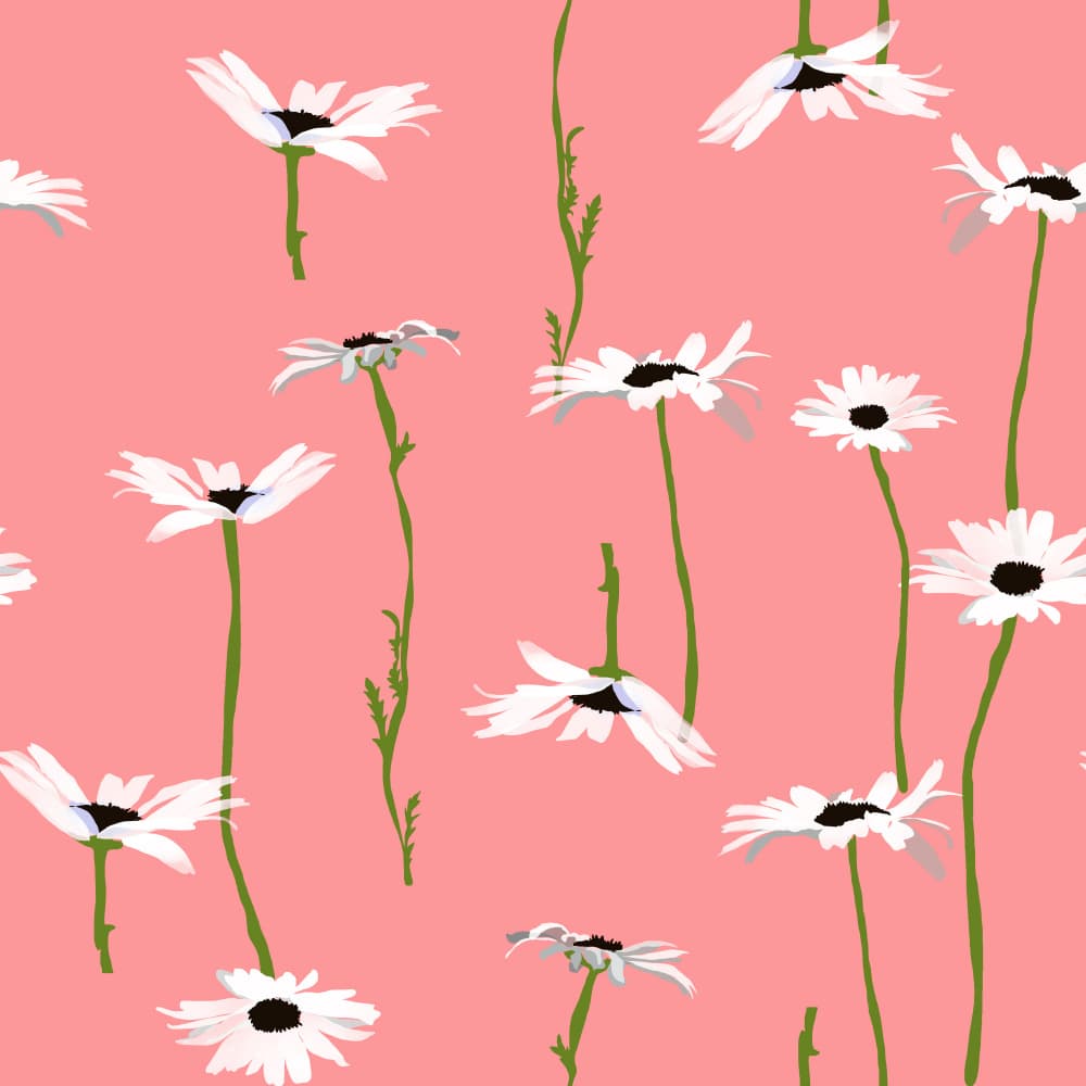 Pink Daisy Dance by Charlotte Trudgett — canvas wall art
