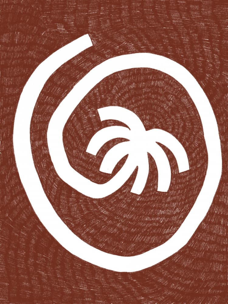 Organic Tropical Spiral by Shatha Al Dafai — canvas wall art