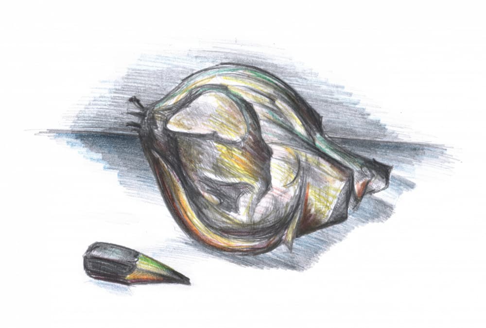 Crumpled Leaf Study by Kulik — canvas wall art