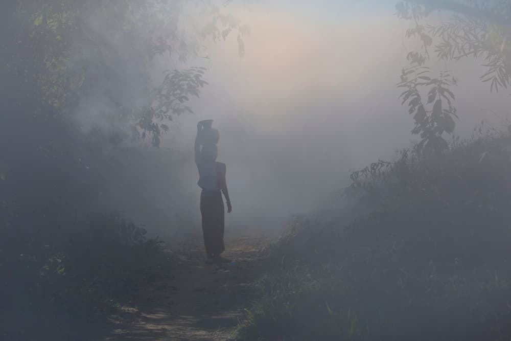 Misty Path Silhouette by Clas Gustafson PRO — canvas wall art