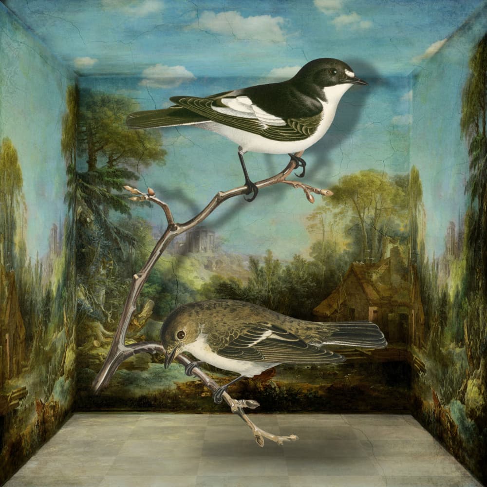 Painted Birds in Landscape by Marja van den Hurk — canvas wall art