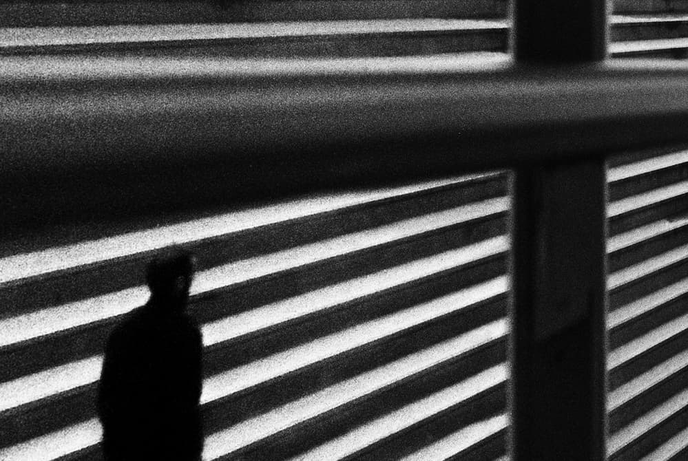 Urban Stairway Silhouette by Paulo Abrantes — canvas wall art