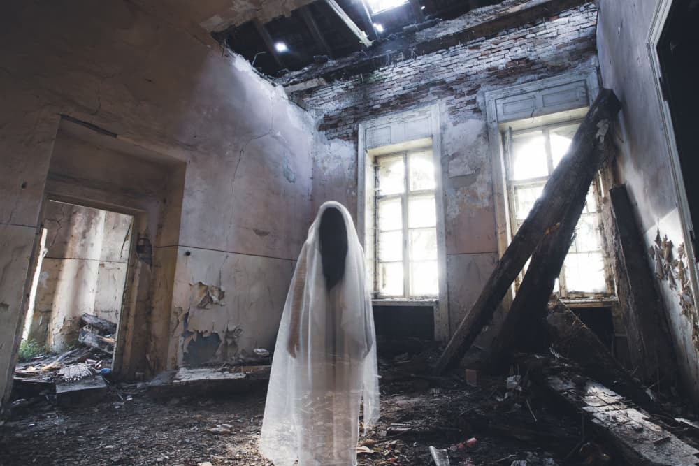 Mysterious Ghost Woman by Eros Erika — canvas wall art