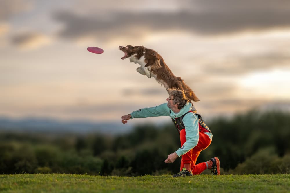Disc Dog Leap by Joško Šimic — canvas wall art
