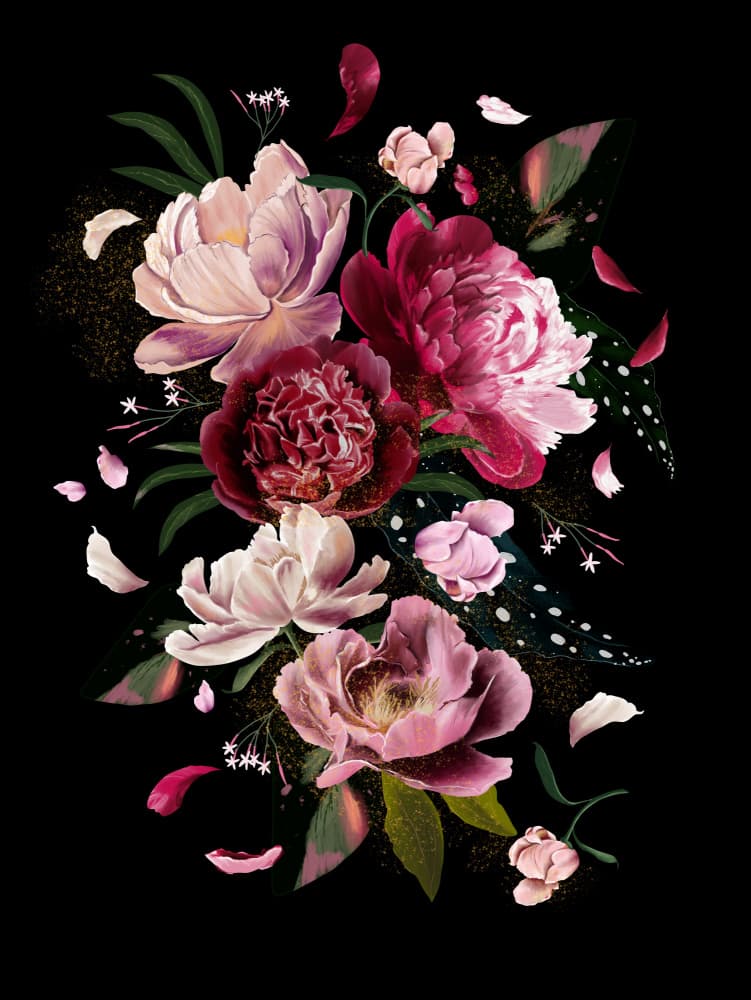 Pink Peonies Explotion Black Artwork by Anis Illustration — canvas wall art