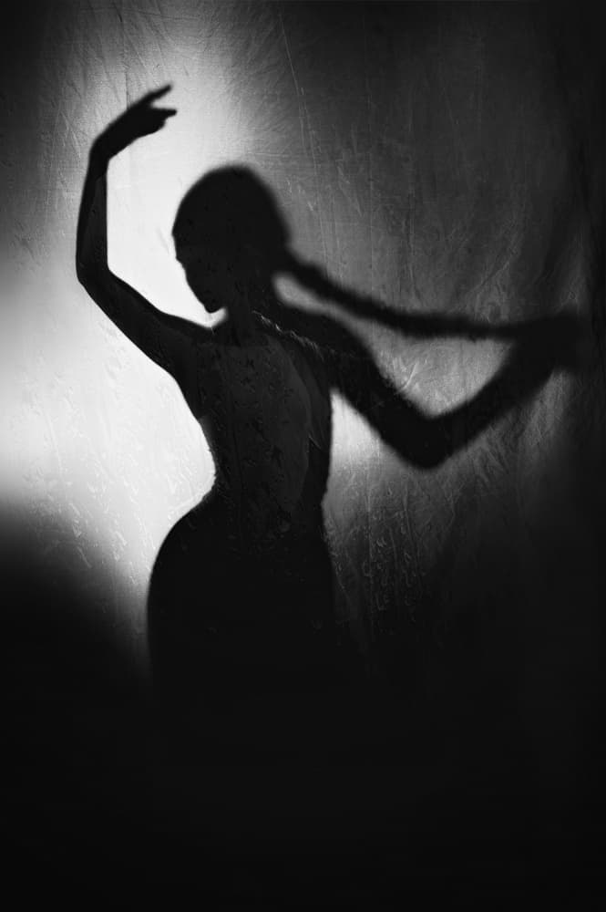 Graceful Shadow Dance by Adela Lia Rusu — canvas wall art