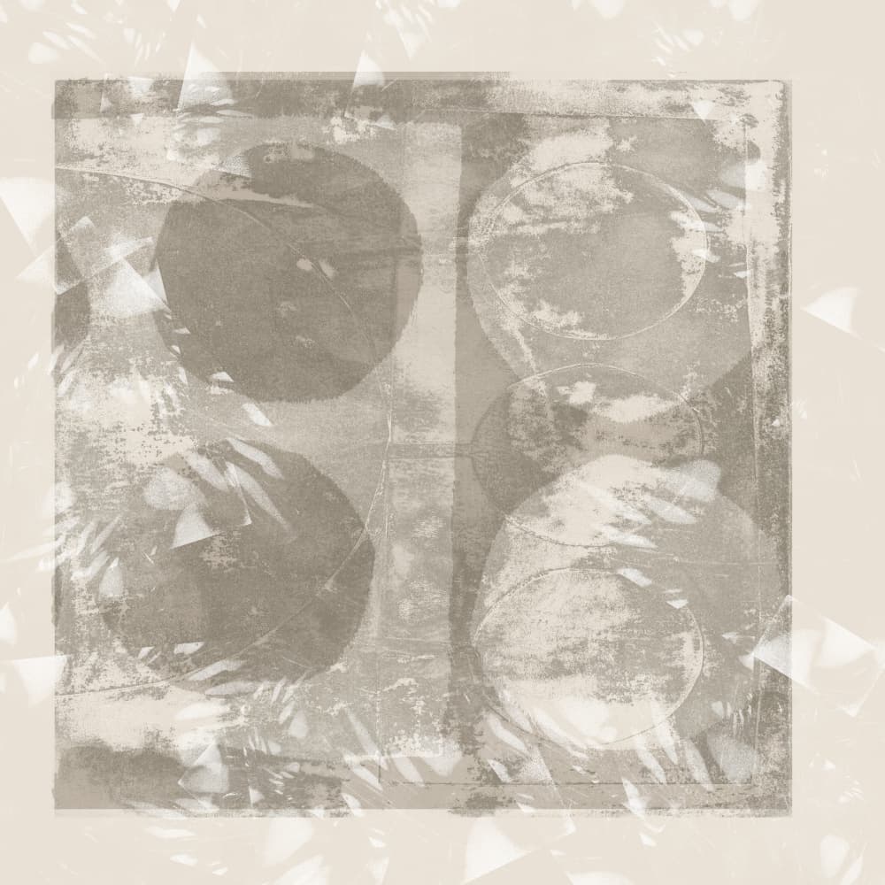 Distressed Neutral Circles by Dina Dankers — canvas wall art