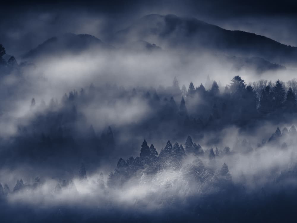 Misty Mountain Forest by 市岡弘光 — canvas wall art