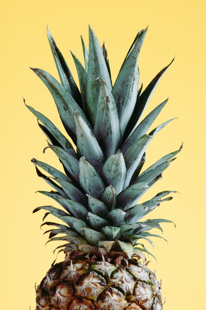 Vibrant Pineapple Crown by Pictufy Studio III — canvas wall art