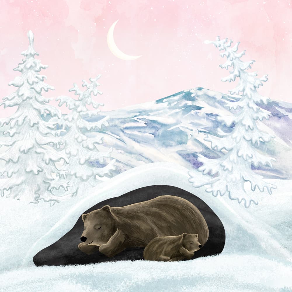 Sleeping Bear Den by EMELIEmaria — canvas wall art