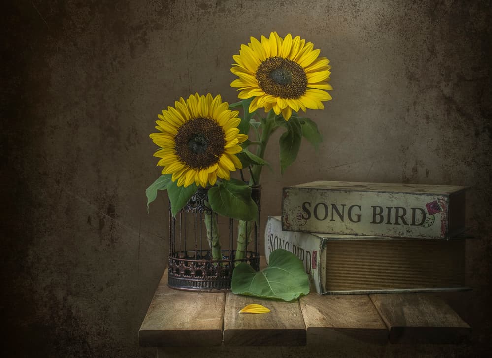 Rustic Sunflowers and Song Bird by Margareth Perfoncio — canvas wall art