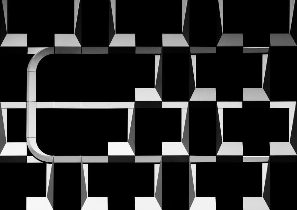 Face fraud by Greetje van Son — canvas wall art