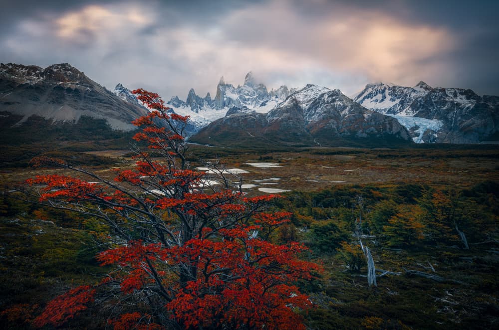 Fitz Roy Mountain Fall by YANGYING — canvas wall art
