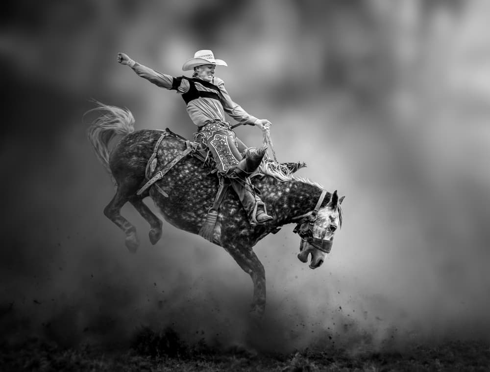 Wild Rodeo Ride by Irene Wu — canvas wall art
