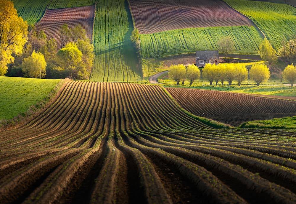 Vibrant Spring Landscape by Karol Nienartowicz — canvas wall art