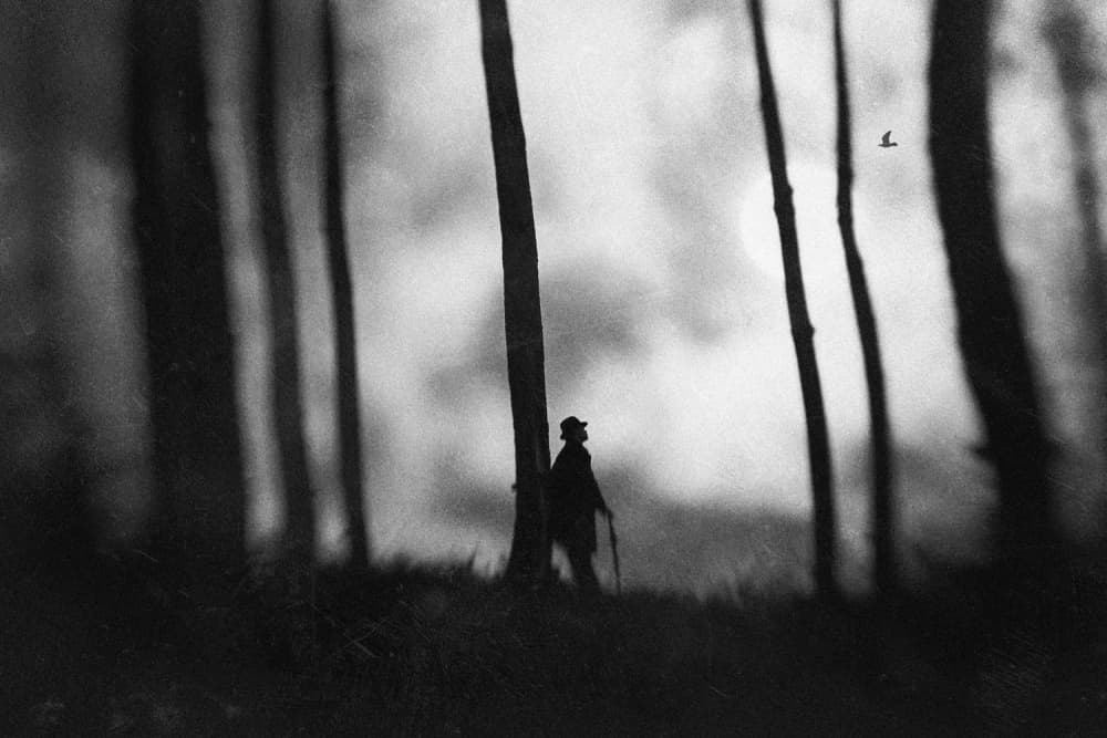 Lone Figure Forest Light by Jay Satriani — canvas wall art