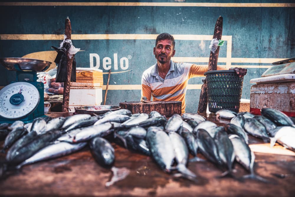 Fresh Fish Vendor by Marco Tagliarino — canvas wall art