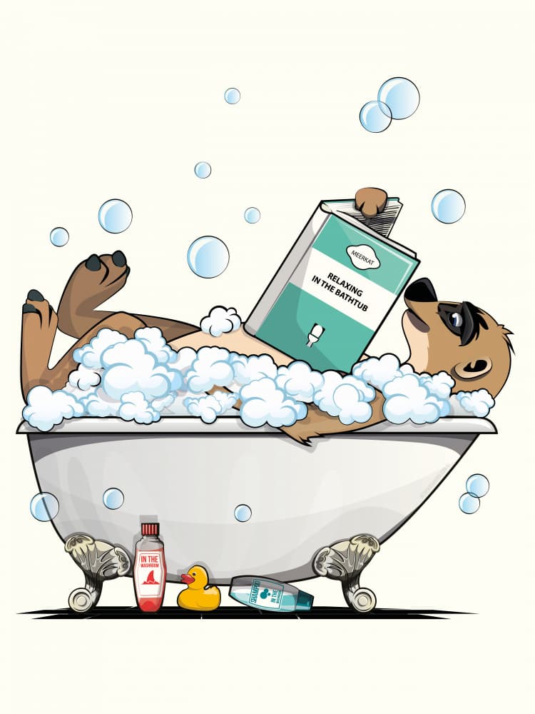 Meerkat Bath Time by In The Washroom — canvas wall art