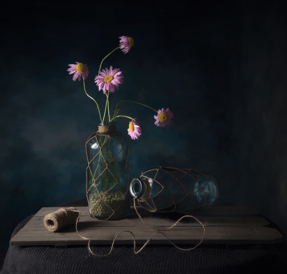 Rustic Daisy Still Life by Catherine Wang — canvas wall art