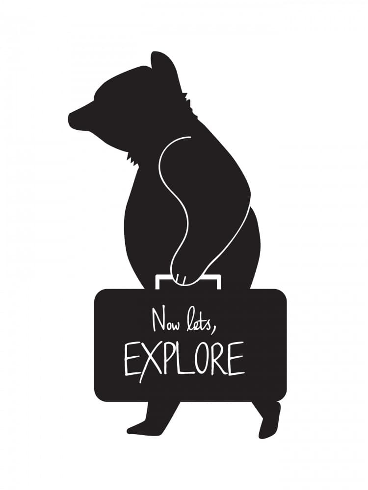 Bear Ready to Explore by Danushka Abeygoda — canvas wall art