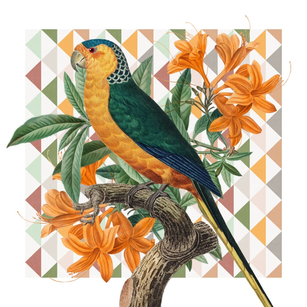 Vibrant Parrot Illustration by Marja van den Hurk — canvas wall art